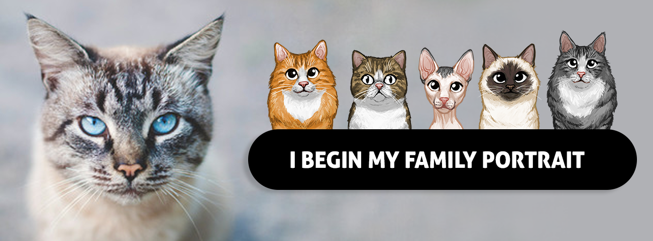 gift-for-cat-portrait